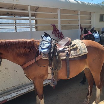 The Rockin' Star Ranch - Horseback Riding Near Me - Tucson, Arizona The Rockin' Star Ranch - Horseback Riding Near Me - Tucson, Arizona