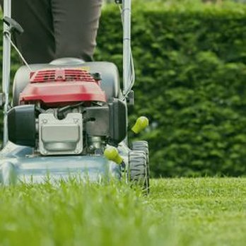 Beauty Garden Services - a woman mowing the lawn - Landscaping Near Me - Tukwila, Washington Beauty Garden Services - a woman mowing the lawn - Landscaping Near Me - Tukwila, Washington