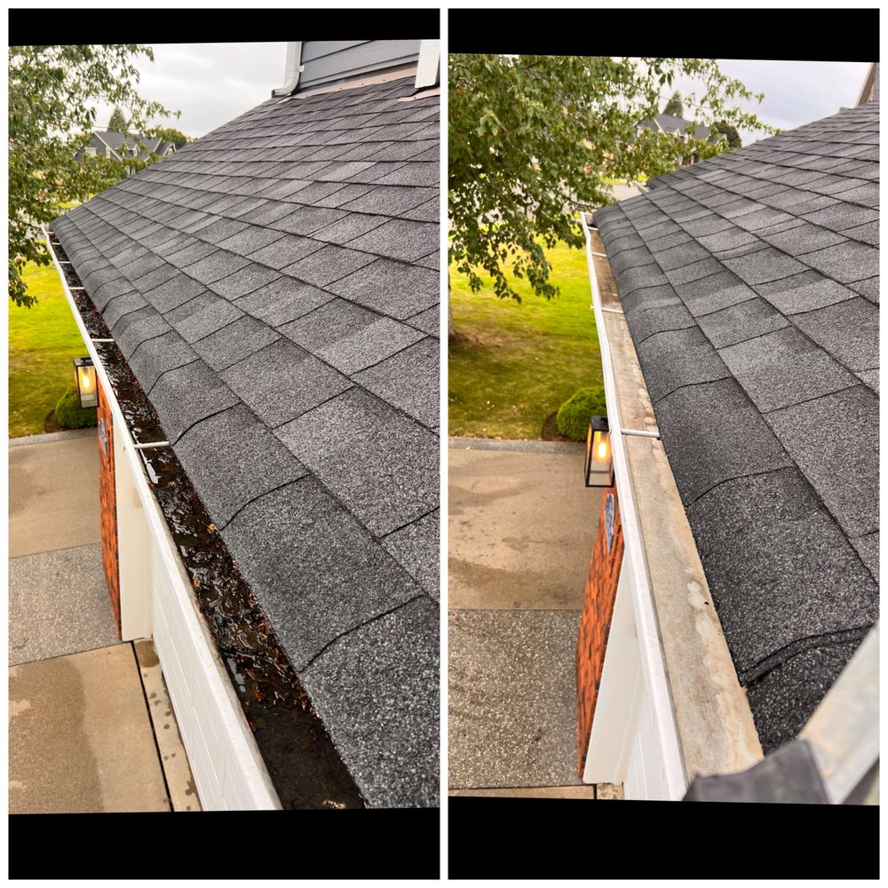 LYNDEN’S RISE N’ SHINE SERVICES Updated May 2024 Lynden, Washington Window Washing Phone