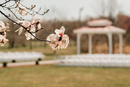 King Cole Farm by null