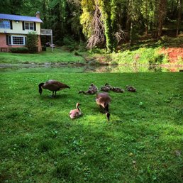 THE YELLOW HOUSE ON PLOTT CREEK ROAD - Updated December 2025 - 148