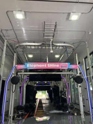 Elephant Car Wash by null