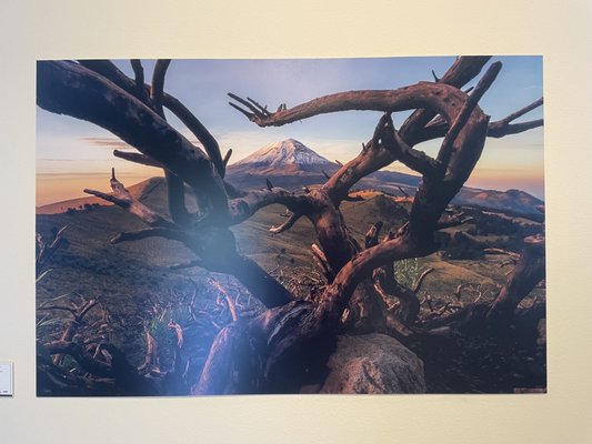 Museo Casa Montejo by null