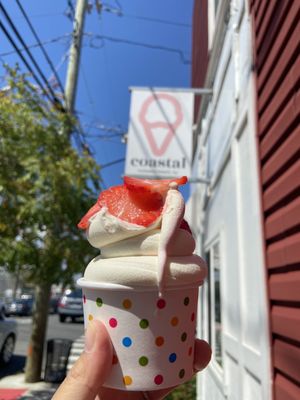 Coastal Frozen Yogurt by null
