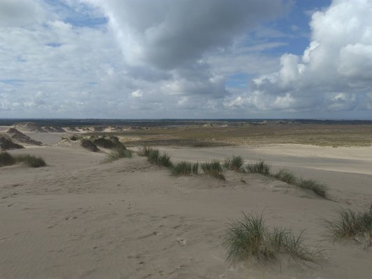 Råbjerg Mile by null