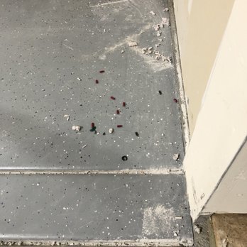 Stanley Enterprises - Just sloppy... it's not hard to bring a shop vac with you Matthew. - Electricians Near Me - Kennewick, Washington