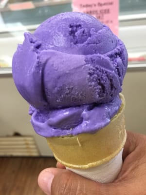 Kamoi Snack-n-Go, Inc. by null