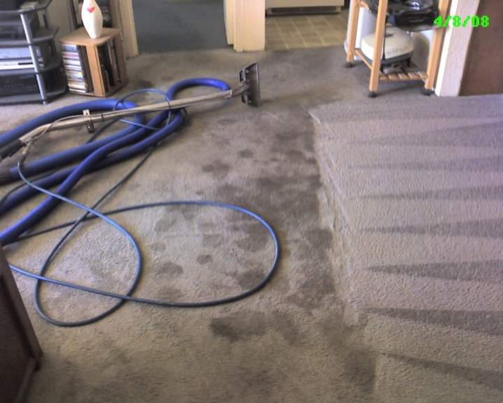 MOORE AND SONS CARPET CLEANING Updated June 2024 Request a Quote