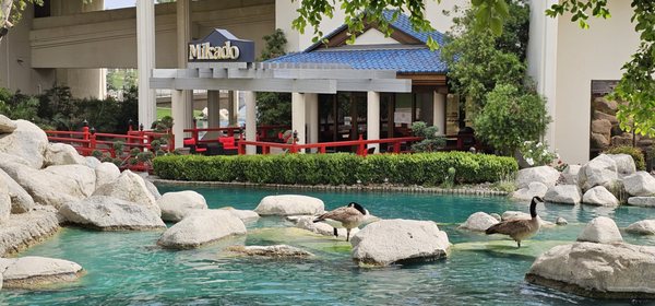 JW Marriott Desert Springs Resort & Spa by null