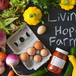 Living Hope Farm