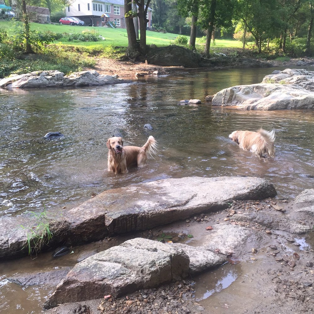 Gunpowder Falls State Park - Swim time from the summer. This is passed the cleverest bridge - Parks Near Me - Bradshaw, Maryland Gunpowder Falls State Park - Swim time from the summer. This is passed the cleverest bridge - Parks Near Me - Bradshaw, Maryland