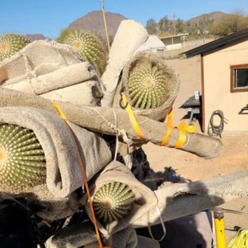 Southwest Cactus - Nurseries & Gardening Near Me - Tucson, Arizona Southwest Cactus - Nurseries & Gardening Near Me - Tucson, Arizona