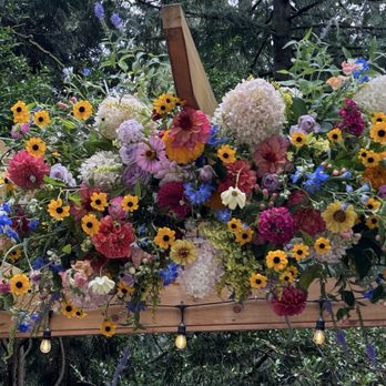 Songbird Floristry - Stunning wildflower arbor florals - Florists Near Me Songbird Floristry - Stunning wildflower arbor florals - Florists Near Me