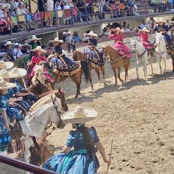 San Antonio Charro Association - San Antonio Charro Association