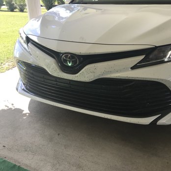 Budget Rent A Car - Bugs all over the front of the car. - Car Rental Near Me - Kenner, Louisiana
