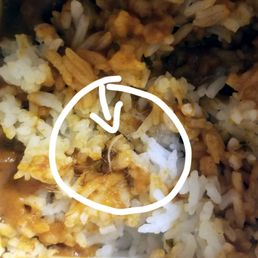 a close up of rice and meat a close up of rice and meat