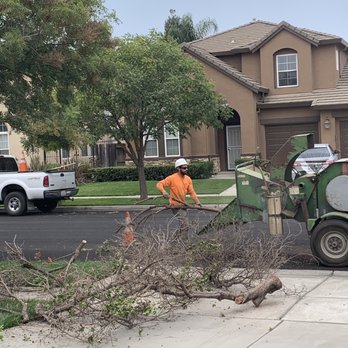 His Tree Service - Tree Services Near Me - Hilmar, California