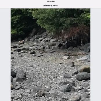Waterfall Resort Alaska - Resorts Near Me Waterfall Resort Alaska - Resorts Near Me