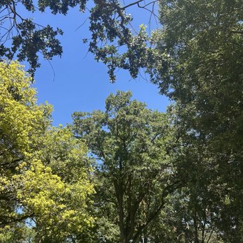 Oak Grove Regional Park - Parks Near Me - Stockton, California Oak Grove Regional Park - Parks Near Me - Stockton, California