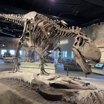 Field Museum - Museums Near Me - Chicago, Illinois Field Museum - Museums Near Me - Chicago, Illinois