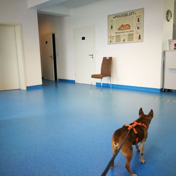 Sarah Drews - Veterinarians Near Me - Lauenburg, SH