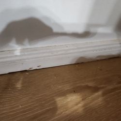 HDR Floors and More - Cracked casing on front door from using oscillating tool carelessly