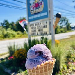 Blueberry Ice Cream