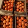 Photo of Croom Farms
