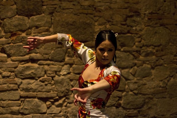 PALAU DALMASES by null