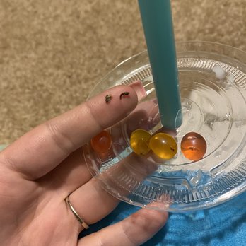 Tea Largo - Coffee & Tea Near Me - Lakeland, Florida