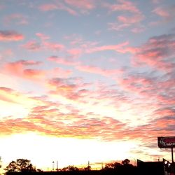 Octapharma Plasma - Decatur - Octapharma Morning Shift