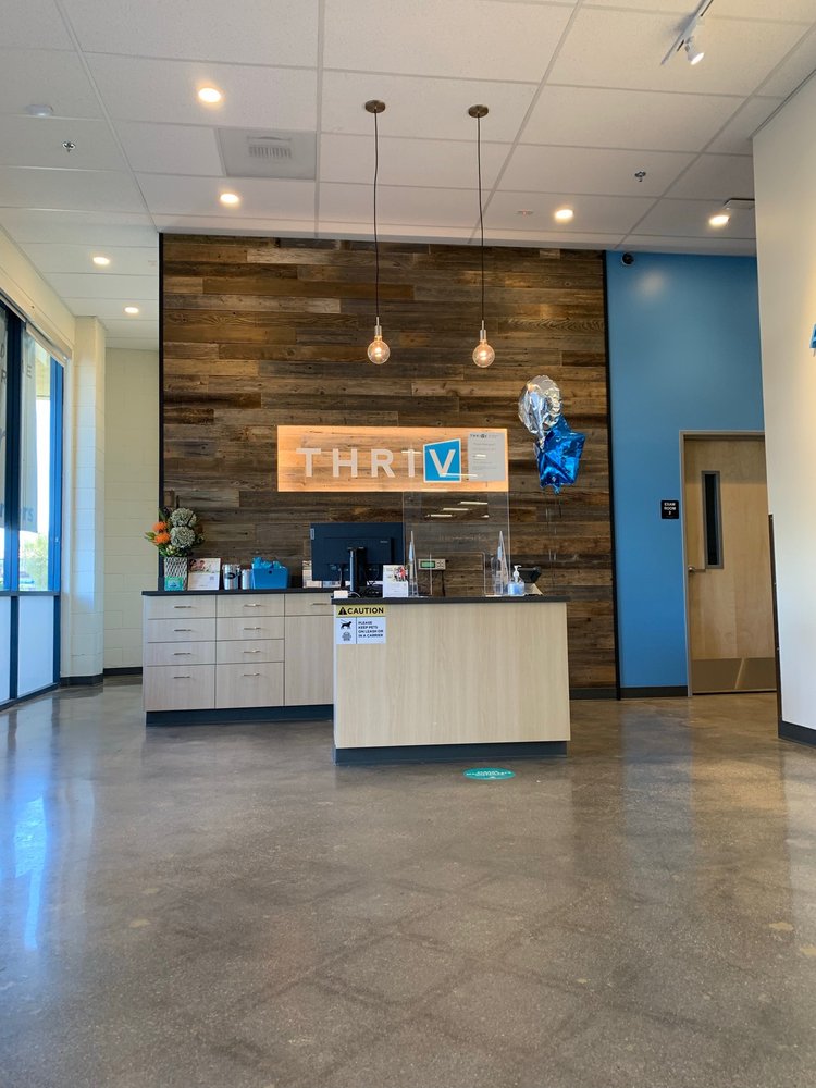 AFFORDABLE VET CARE SANTA CLARITA Updated September 2024 43