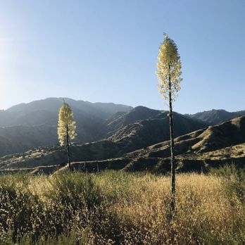 Wilson Canyon Park - Beautiful Views - Hiking Near Me - Sylmar, California Wilson Canyon Park - Beautiful Views - Hiking Near Me - Sylmar, California