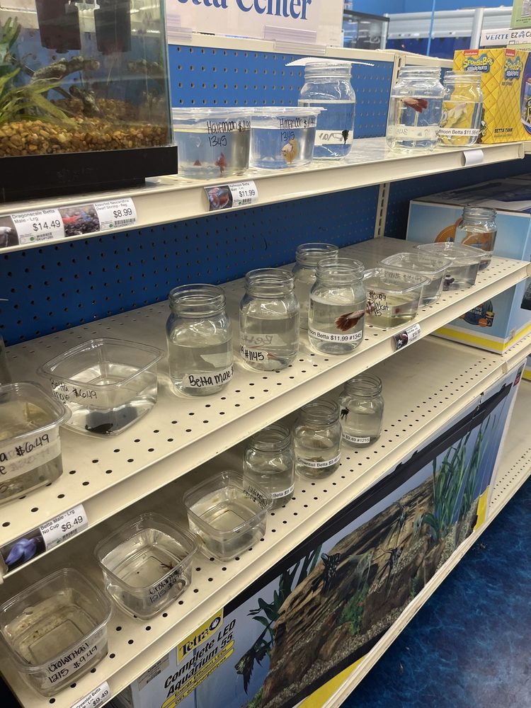 Pet Supermarket Image