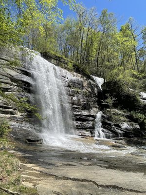 Yellow Branch Falls by null