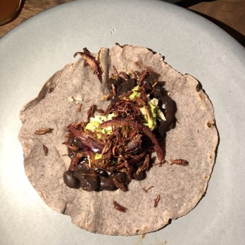 Tierra del Sol - Chapulines appetizer, you can prep your own tacos. - Oaxacan Near Me - Oaxaca, OAX Tierra del Sol - Chapulines appetizer, you can prep your own tacos. - Oaxacan Near Me - Oaxaca, OAX
