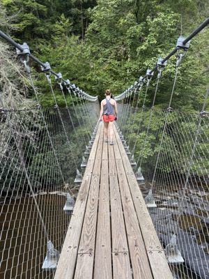 Fall Creek Falls by null