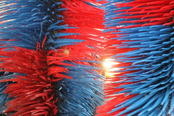 TAKE 5 CAR WASH - Updated May 2024 - 19 Photos & 64 Reviews - 5828