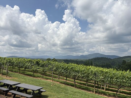 Kaya Vineyard & Winery by null