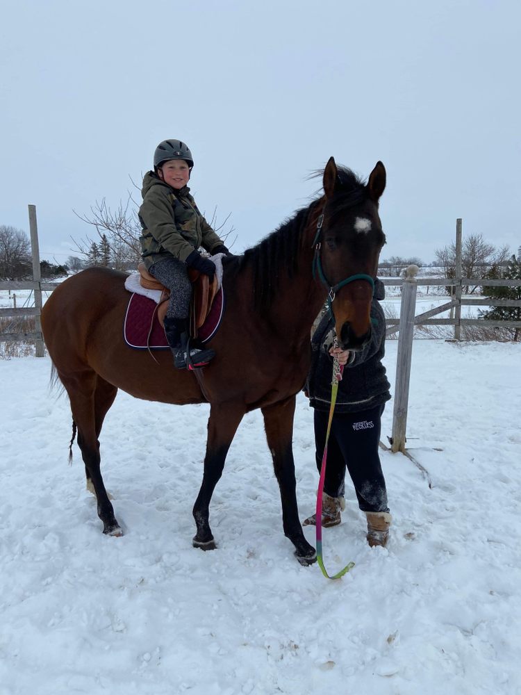 MAPLE VALLEY EQUESTRIAN Updated July 2024 Alma, Ontario, Canada