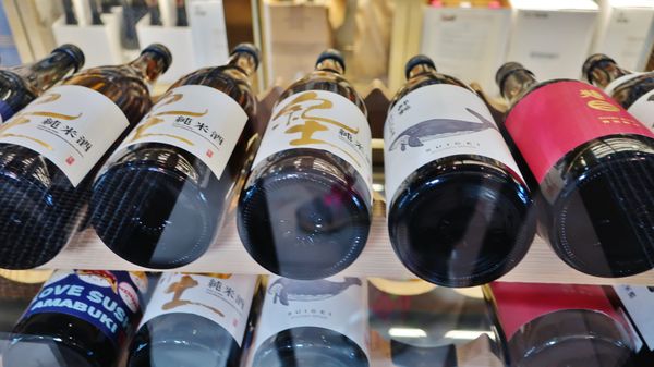 Primefish Cellar by null