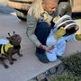 Footprint Pest Management
