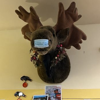 The Kobuk - Coffee & Tea Near Me - Anchorage, Alaska