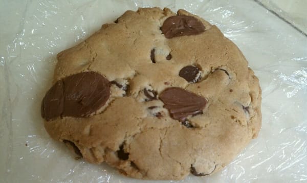 Frenchie Bites by null