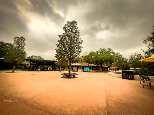Houston Zoo by null