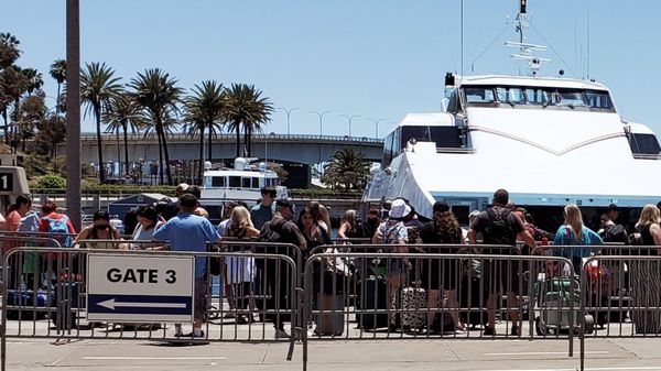Catalina Express by null