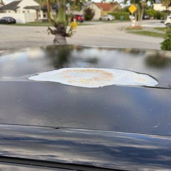 Pines Ford - Paint missing from the roof of the car - Auto Repair Near Me - Pembroke Pines, Florida Pines Ford - Paint missing from the roof of the car - Auto Repair Near Me - Pembroke Pines, Florida