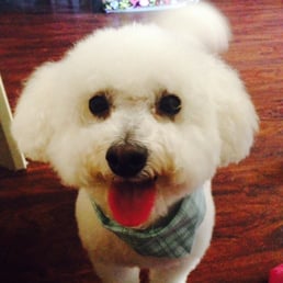 Thanks Sarah, Henny looks great! Thanks Sarah, Henny looks great!
