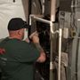 Photo of A Family Friend Heating and Cooling