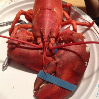 Osterville Fish, Too - Boiled Lobster - Seafood Near Me - Barnstable, Massachusetts